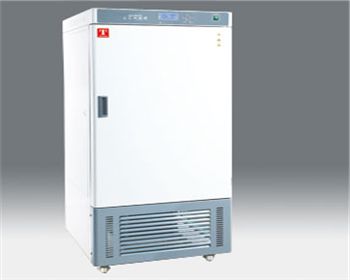 楊凌人工氣候箱（RGX）